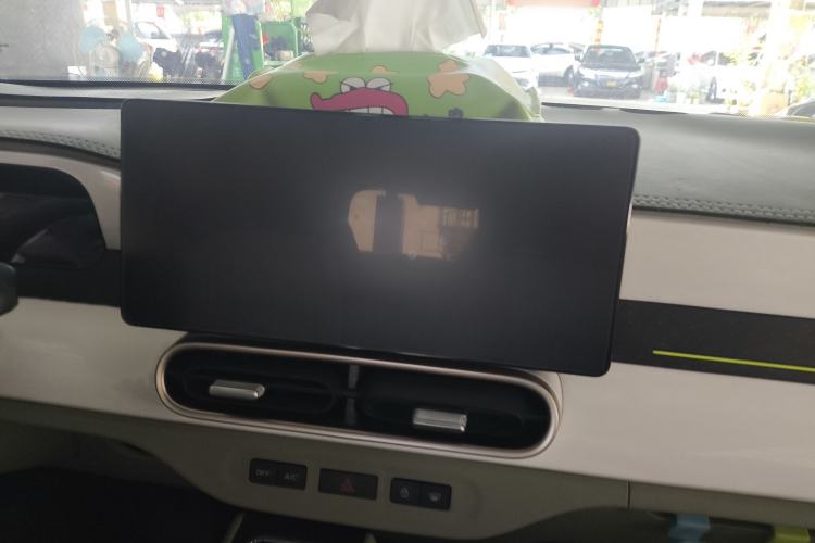 Used  Panda 2024 200km Panda Rider
