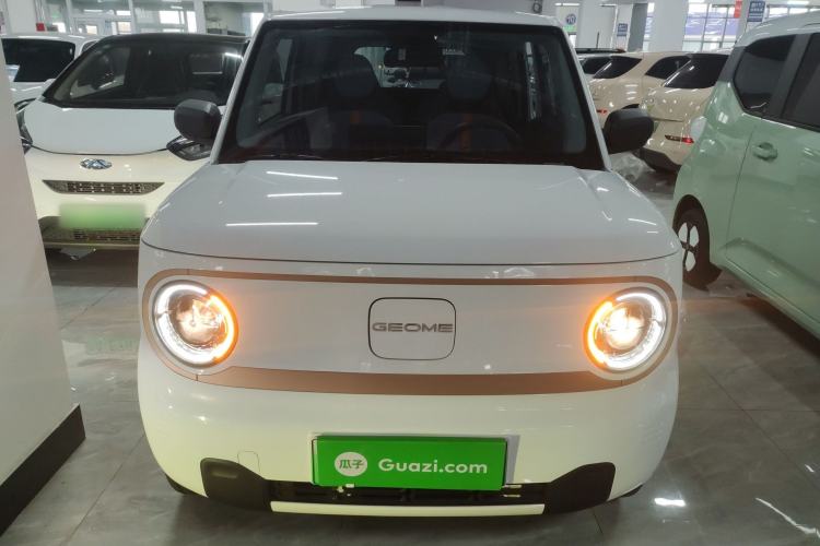 Used  Panda 2024 Panda Mini 200km Endurance Bear
