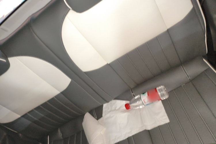 Used  Panda 2023 Panda Mini 200km Endurance Bear
