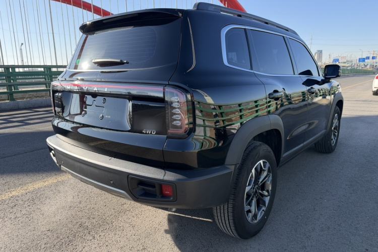 Used Haval DARGO 2024 2.0T DCT Chinese Rural Dog Edition
