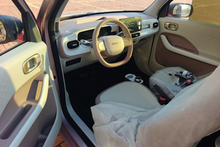 Used  Panda 2025 210 km – Yuanqi Bear
