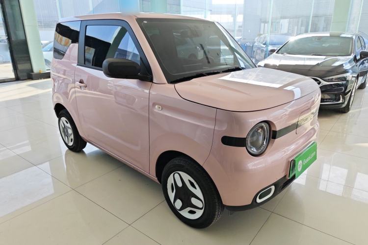 Used  Panda 2025 210 km – Yuanqi Bear