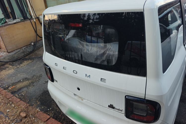 Used  Panda 2024 Panda Mini 200km Endurance Bear
