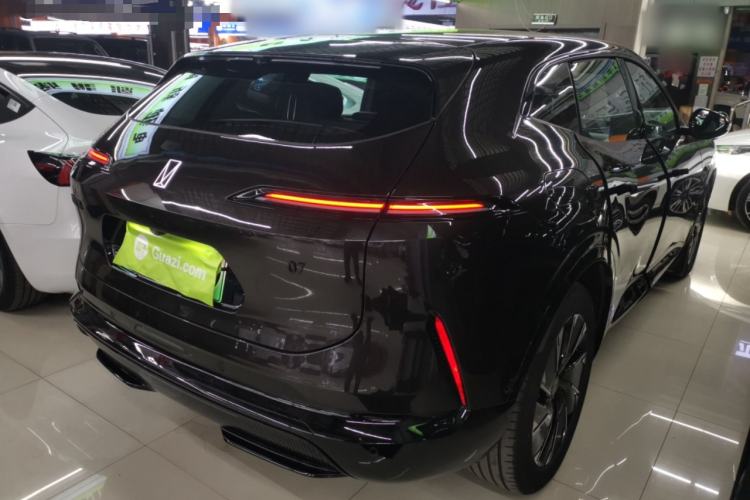 Used  07 2024 Max Extended-Range Edition
