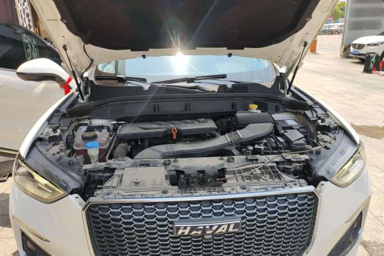 Used Haval F5 2019 National Trend Edition 1.5T i-Trend China VI Standard
