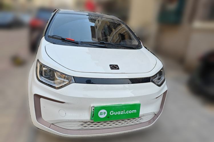 Used SOL E10X 2022 Flower Fairy Design Four-Leaf Clover