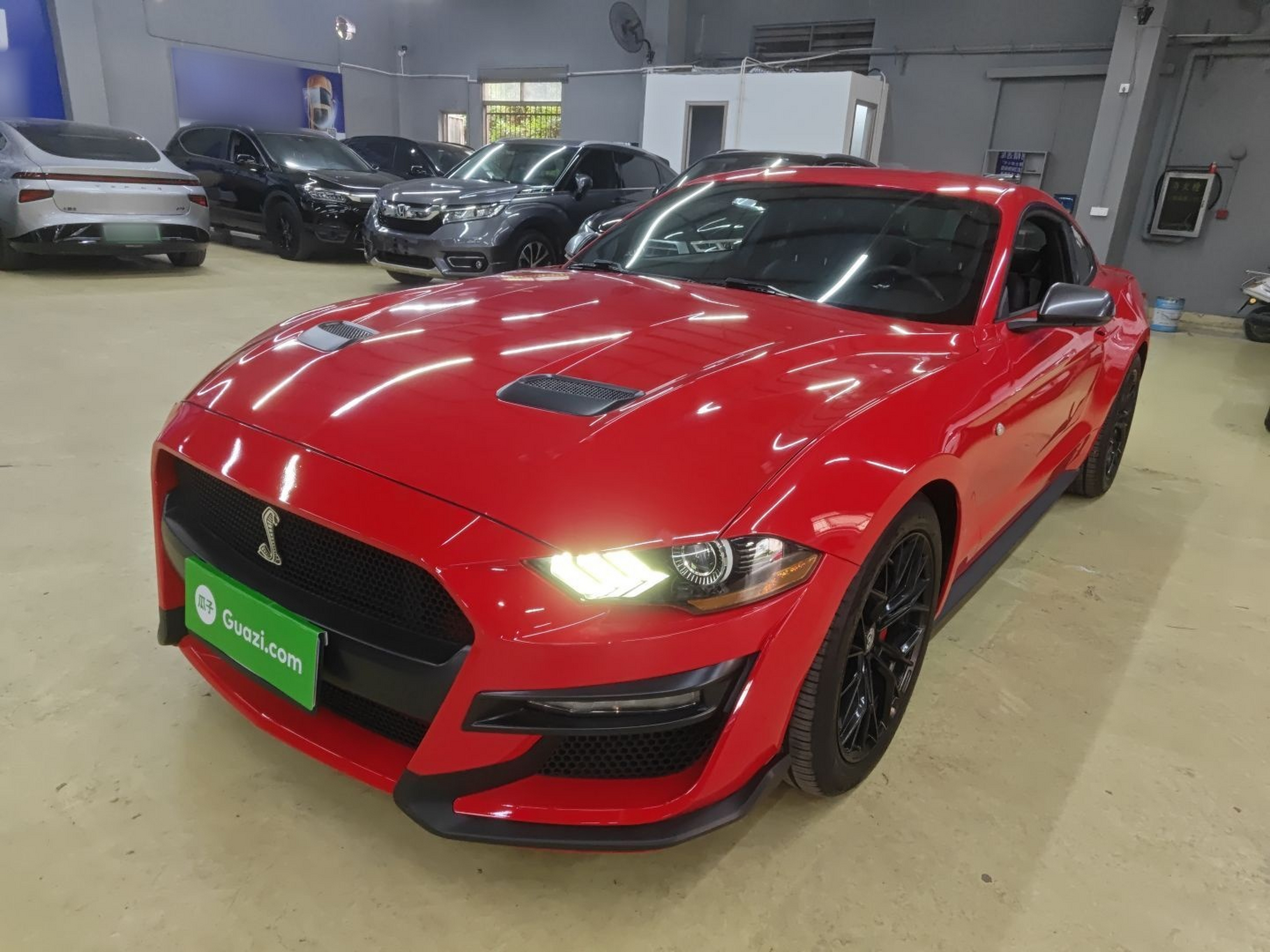 تحت مقدمة السيارة