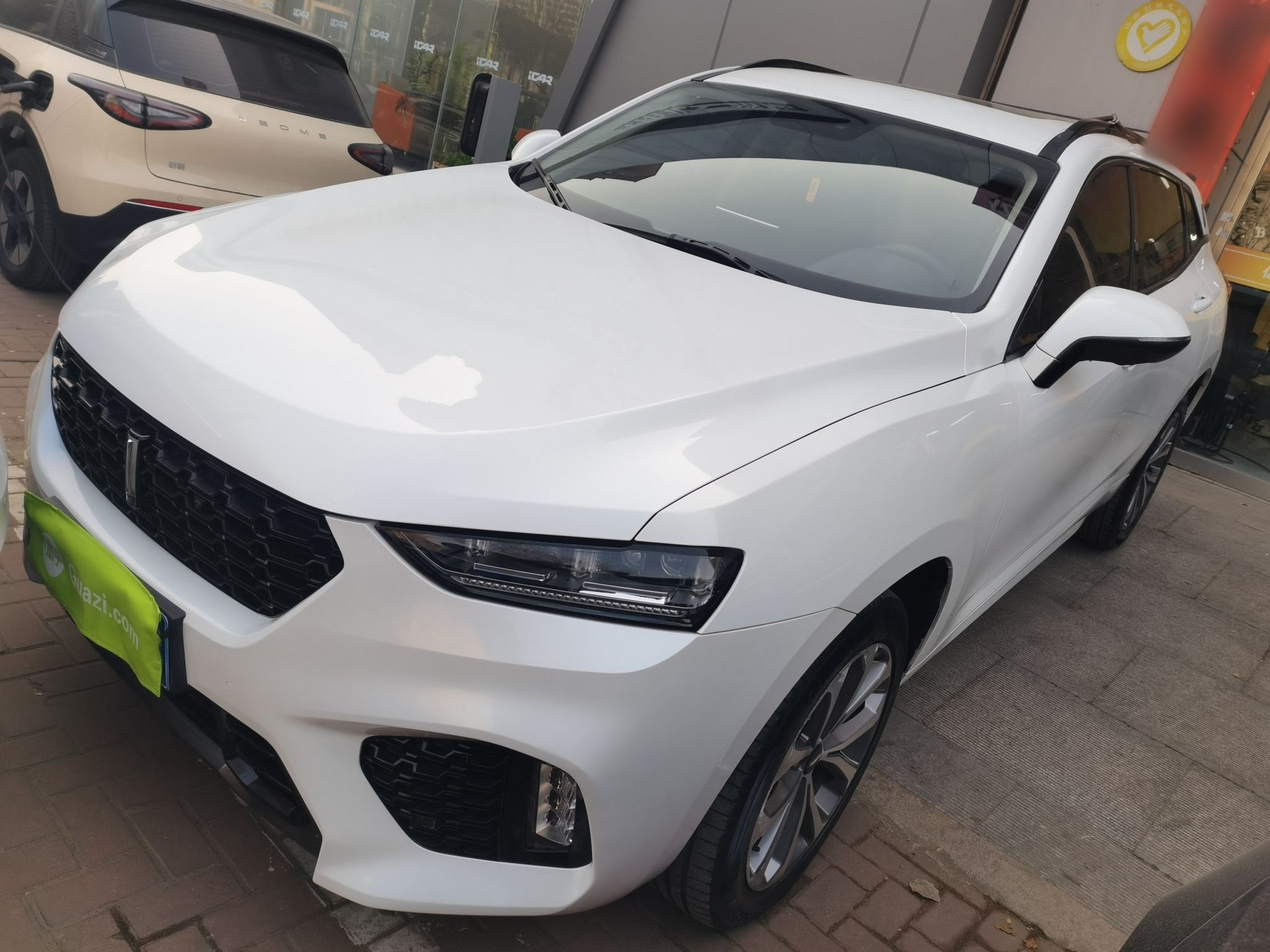 تحت مقدمة السيارة