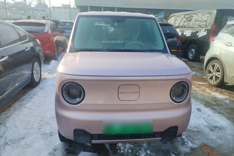 Used  Panda 2024 Panda Mini 200km Endurance Bear