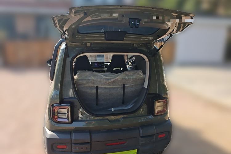 Used  Panda 2024 200km Panda Rider
