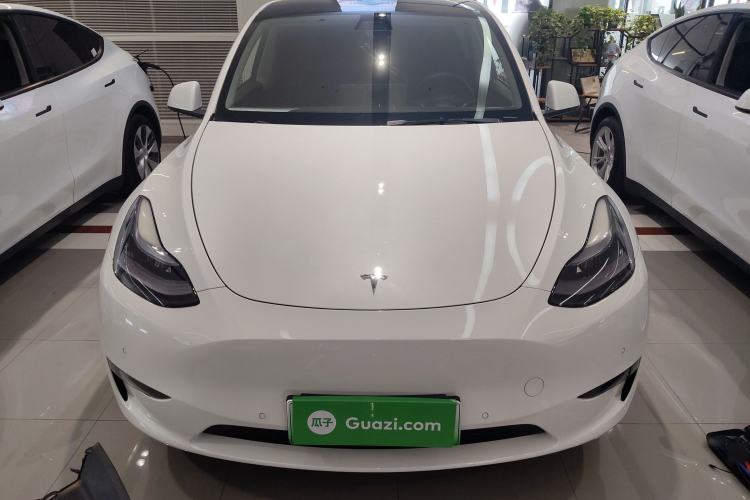 Used Tesla Model Y 2021 Long-Range All-Wheel-Drive Version