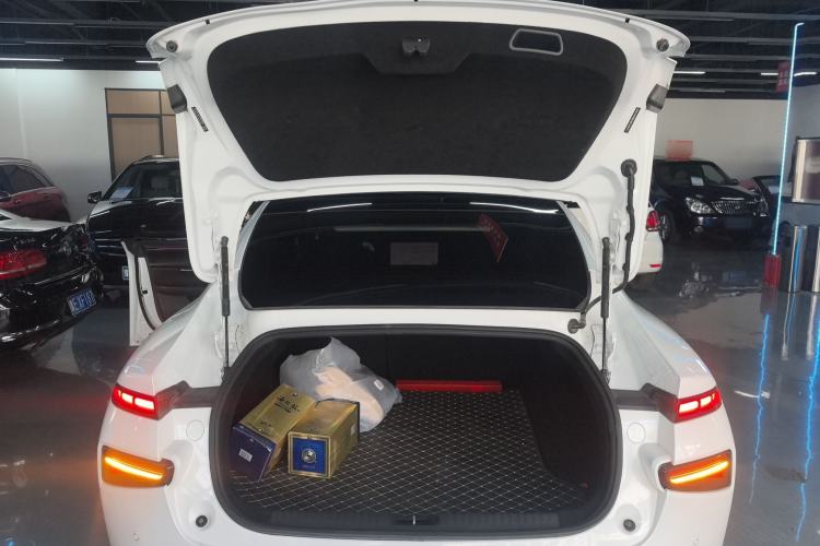 Used XPeng P7 2020 670N
