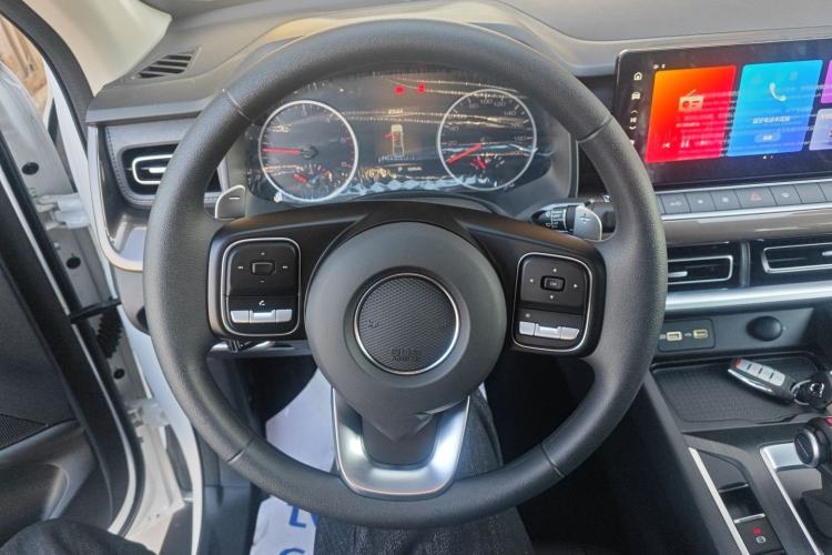 Used Great Wall Poer 2024 2.4T Commercial Version Automatic Diesel Two-Wheel Drive Elite Edition
