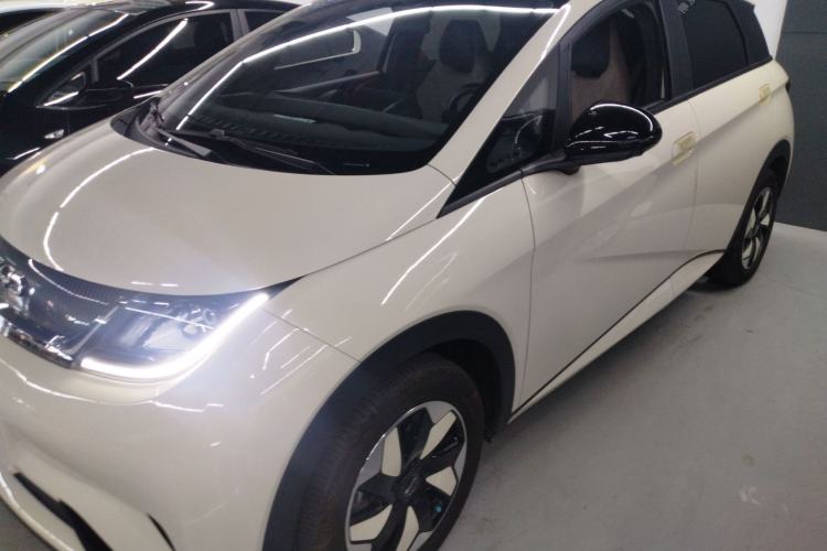 Used BYD Dolphin 2024 Honor Edition 420km Freedom Version
