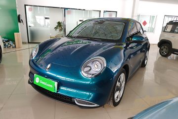 Used ORA Good Cat 2023 401 km Standard Range Luxury Version Lithium Iron Phosphate