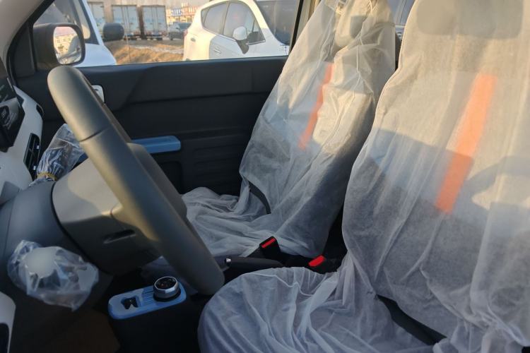 Used  Panda 2024 Panda Mini 200km Endurance Bear