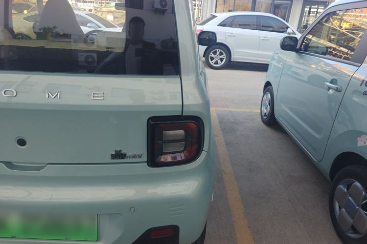 Used  Panda 2024 Panda Mini 200km Endurance Bear
