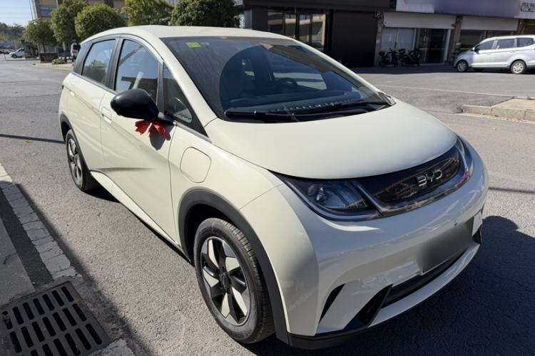 Used BYD Dolphin 2025 420km Free Edition
