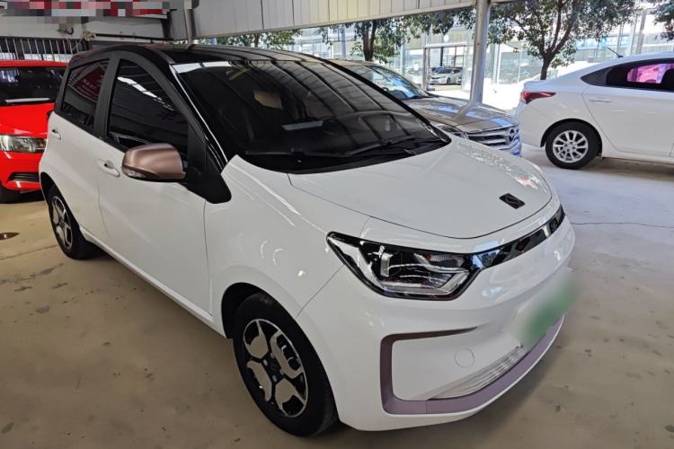 Used SOL E10X 2022 Flower Fairy Style Baby's Breath
