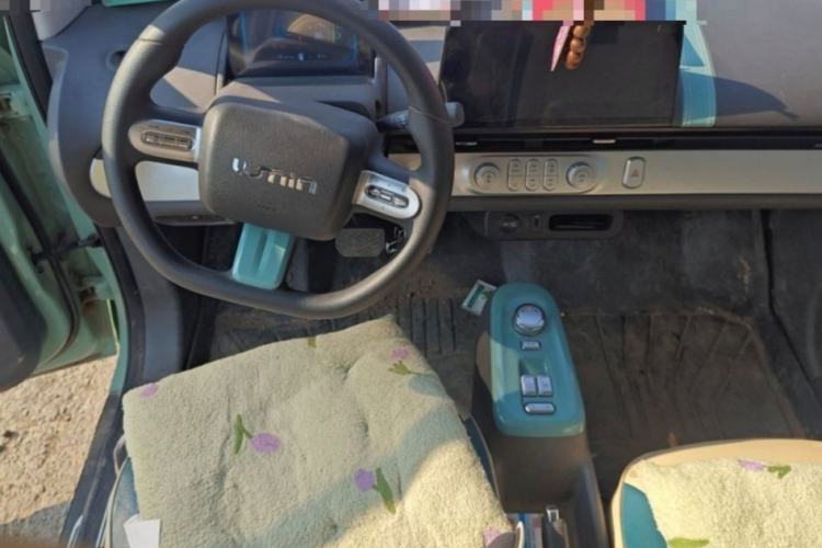 Used  Lumin 2023 205km Xiangqin Version