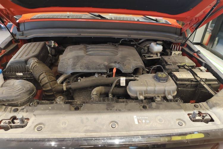 Used Tank 300 2024 2.0T Conqueror
