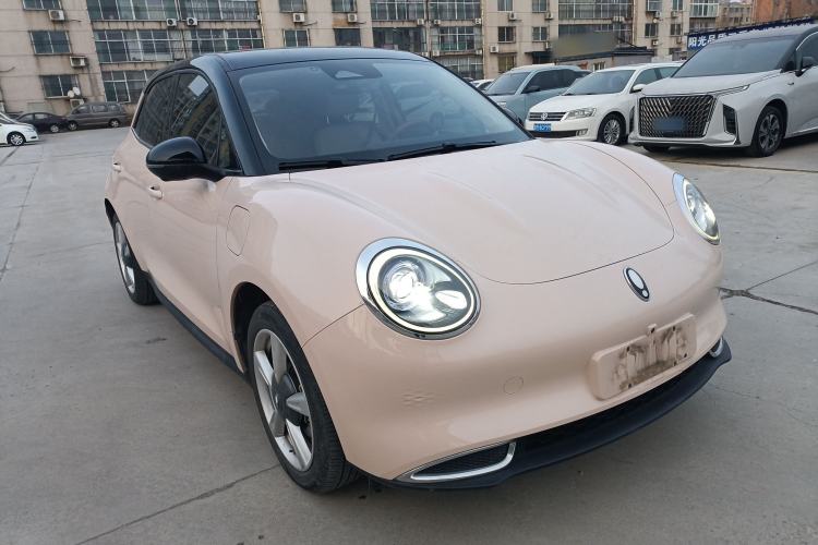 Used ORA Good Cat 2023 401 km Standard Range Luxury Version Ternary Lithium
