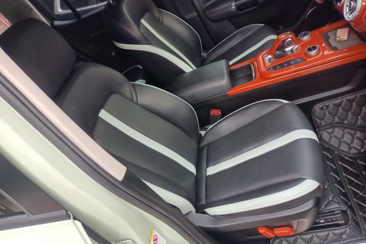 Used Tank 300 2021 City Edition 2.0T—Truly Stylish