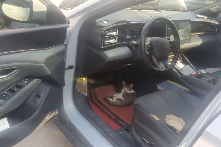 Used BYD Qin L 2024 DM-i 120KM Beyond Model
