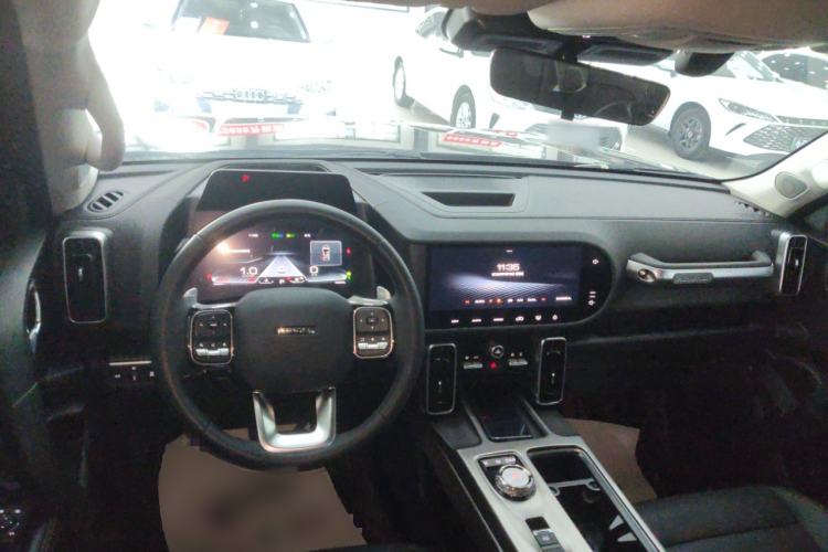 Used Haval DARGO 2024 2.0T DCT Chinese Rural Dog Edition