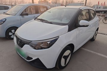 Used JMEV 2024 201km Comfort Version