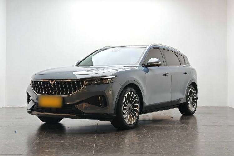 Used VOYAH FREE 2021 Four-Wheel Drive Standard Range-Extended Exclusive Luxury Package
