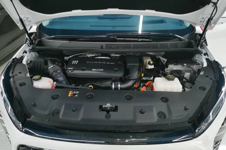 Used Buick GL8 New Energy 2024 Lu Zun Luxury Edition 7-Seater
