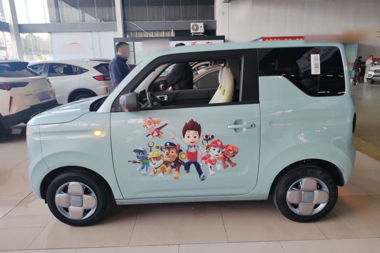 Used  Panda 2024 Panda Mini 200km Endurance Bear