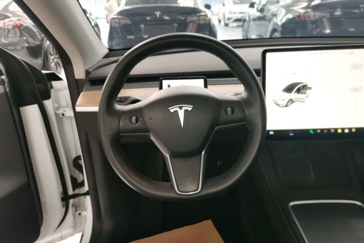 Used Tesla Model Y 2021 Standard Range Rear-Wheel Drive Version
