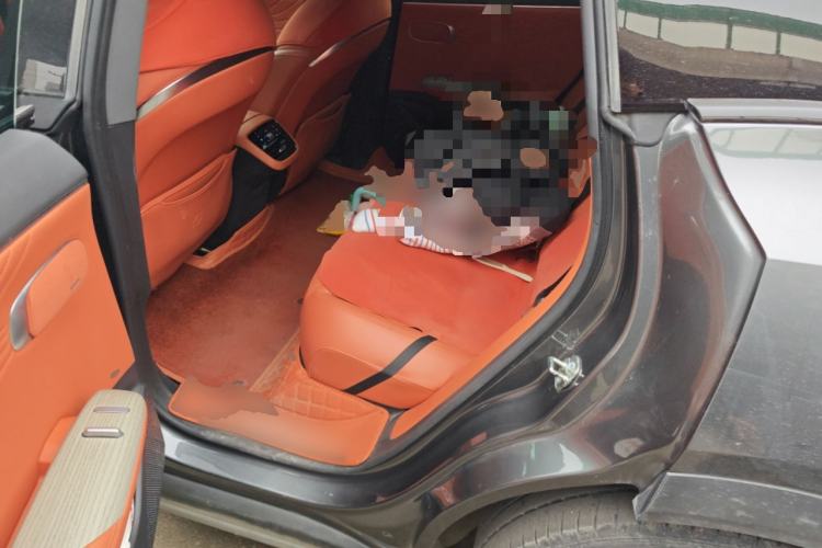 Used  S07 2023 200Max Range-Extended Version