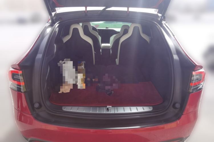 Used Tesla Model X 2017 X 100D Long Range Edition