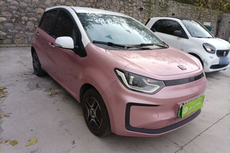 Used SOL E10X 2022 Flower Fairy Design Four-Leaf Clover
