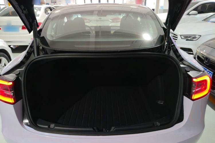 Used Tesla Model 3 2021 Standard Range Rear-Wheel Drive Upgraded Version 3D6
