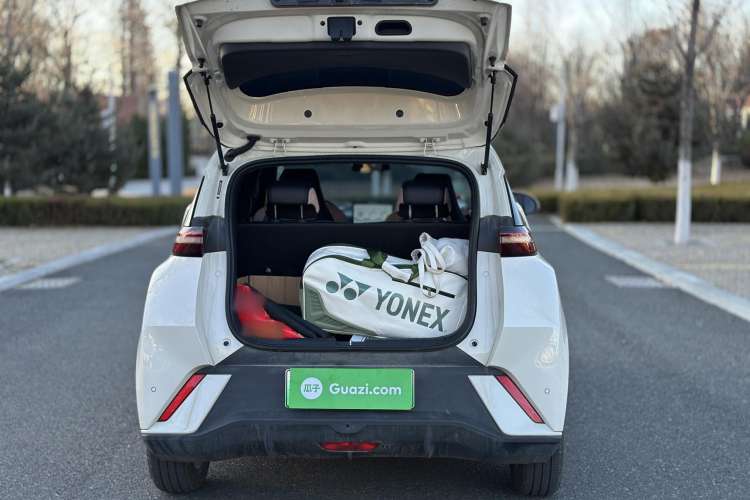 Used BYD Seagull 2025 305 km Free Version
