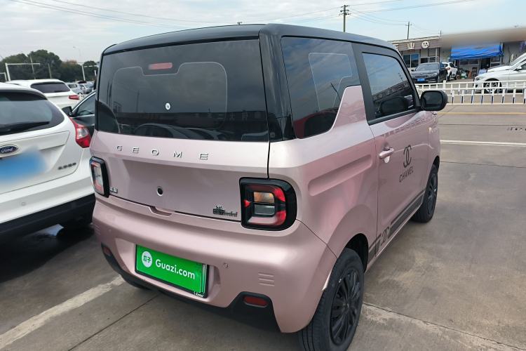 Used  Panda 2023 Panda Mini 200km Endurance Bear