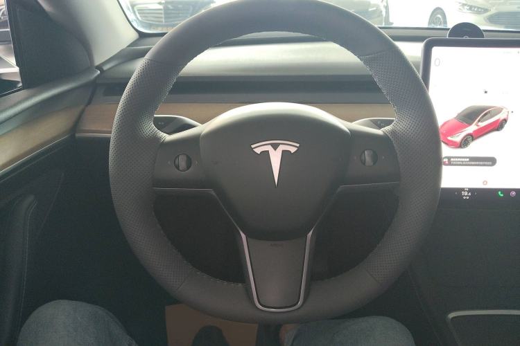 Used Tesla Model Y 2021 Standard Range Rear-Wheel Drive Version
