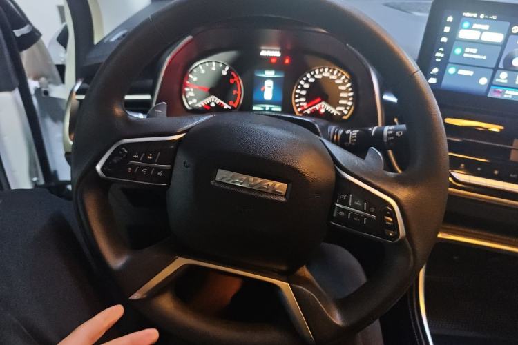 Used Haval H6 2023 National Trend Edition 1.5T Automatic Urban Version
