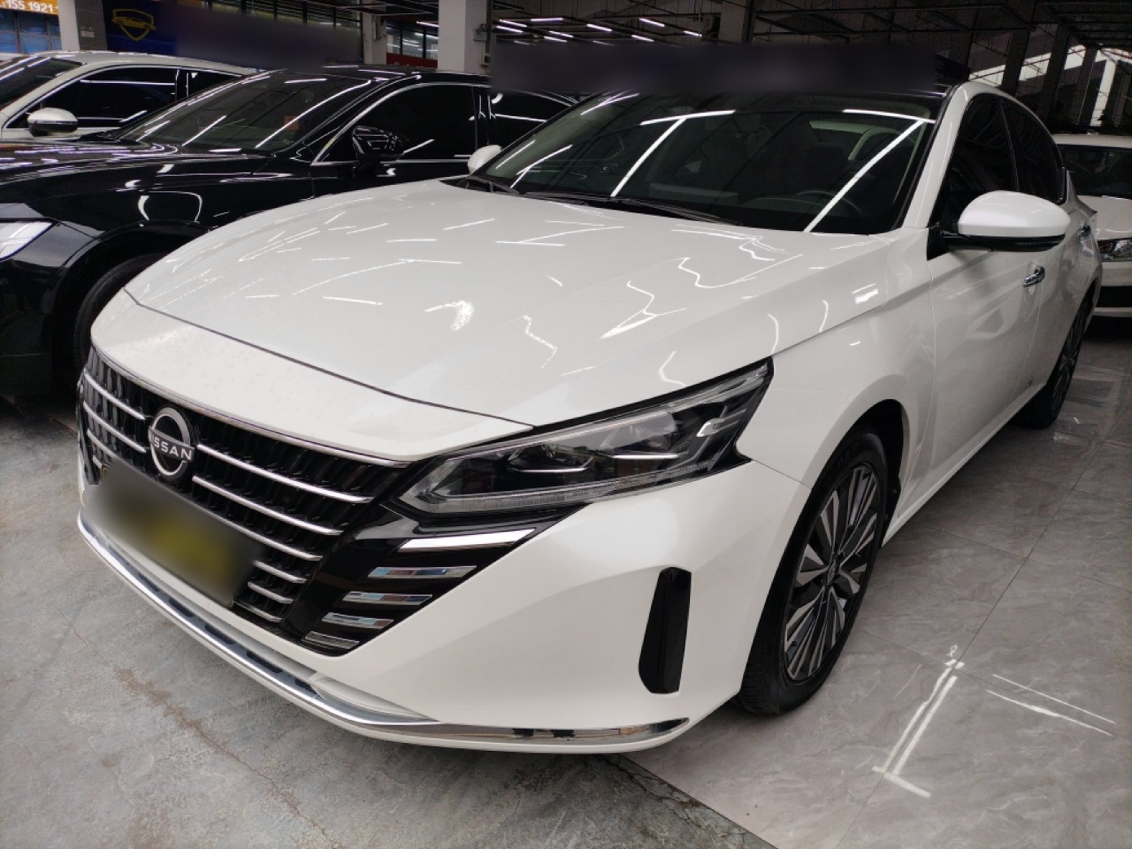 تحت مقدمة السيارة