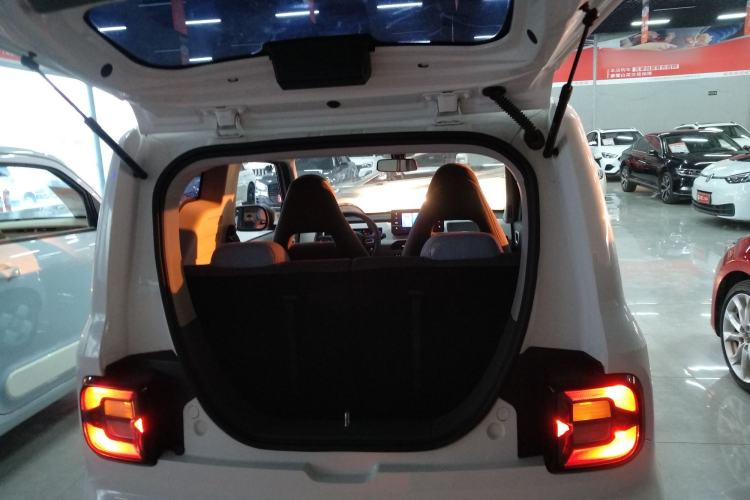 Used  Panda 2023 Panda Mini 200km Endurance Bear
