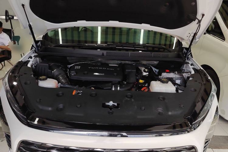 Used Buick GL8 New Energy 2024 Lu Zun Deluxe Edition 7-Seater
