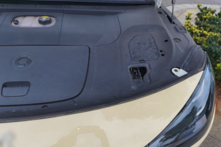 Used  #1 2022 Pure+ Edition
