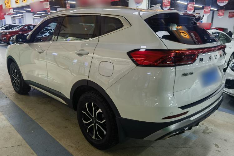 Used Haval H6 2023 National Trend Edition 1.5T Automatic Urban Version
