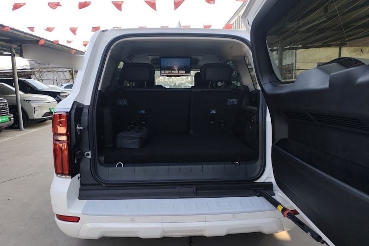 Used Tank 500 New Energy 
