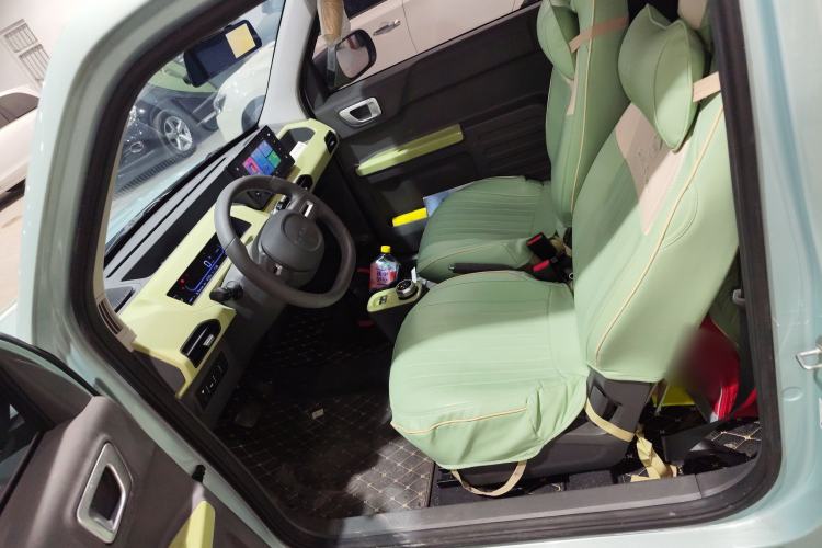 Used  Panda 2023 Panda Mini 200km Endurance Bear
