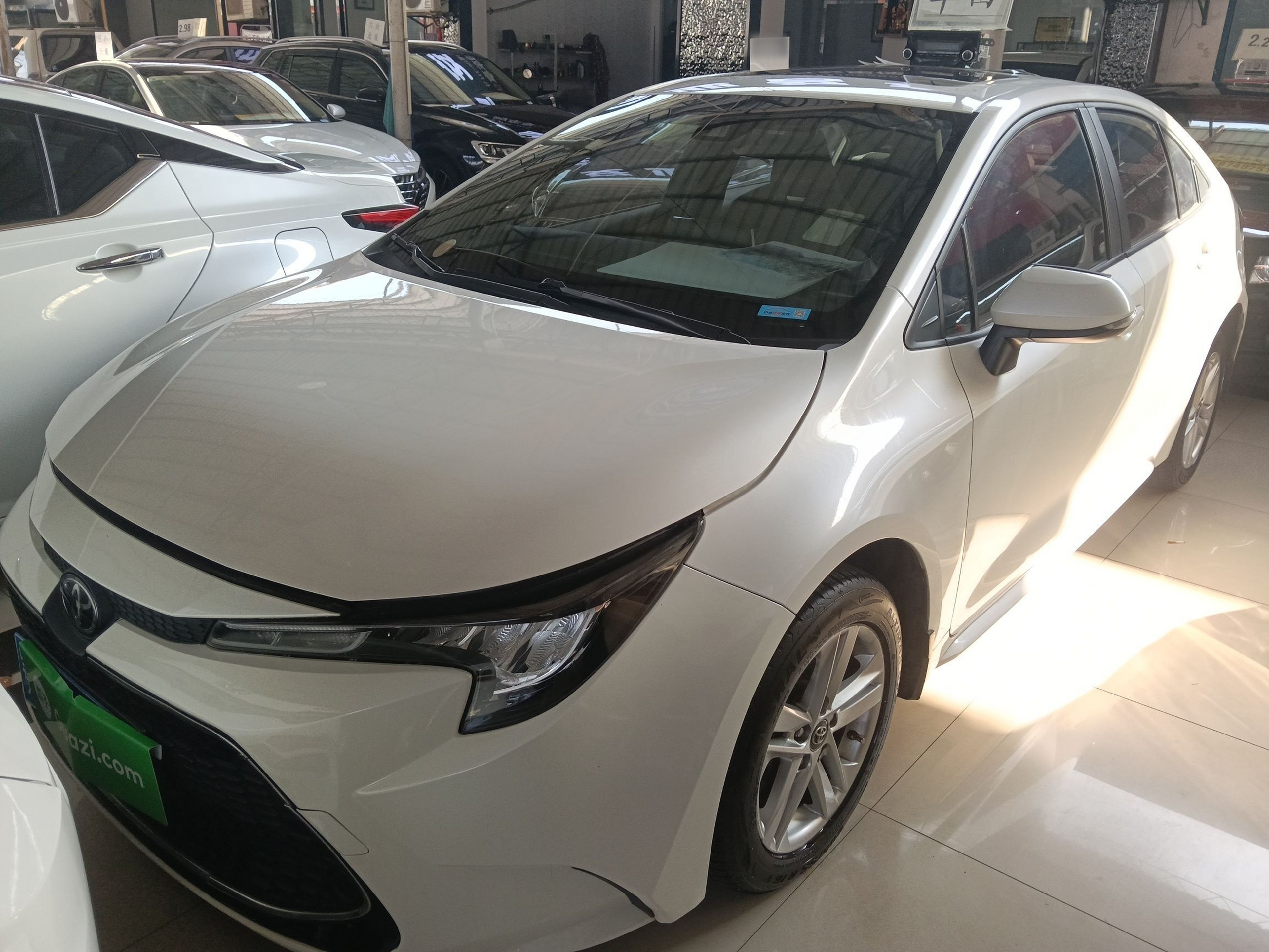 تحت مقدمة السيارة